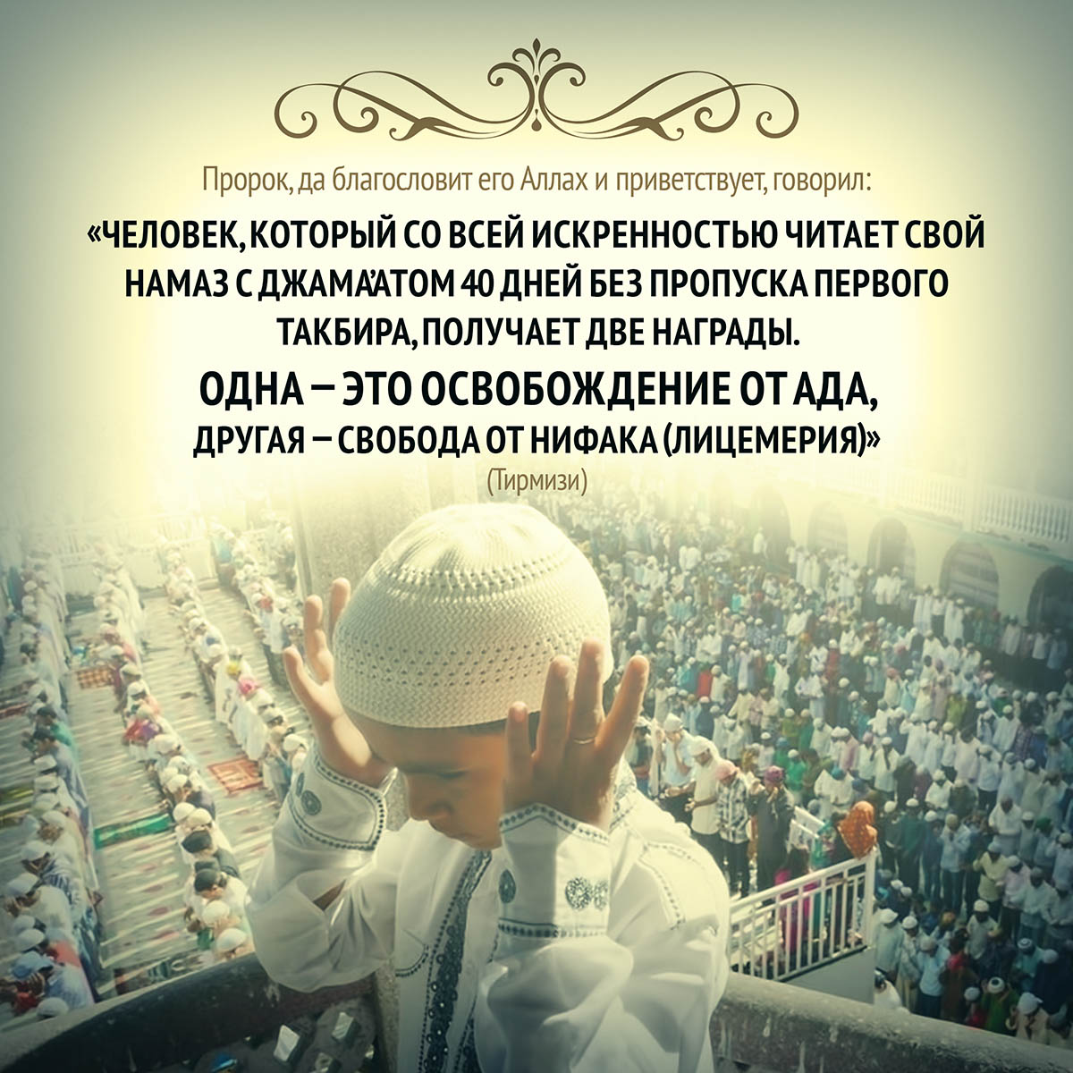 ������ ��� ������ � ������ ������� ��������